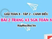 Bài 2 trang 43 Toán 8 Tập 2 Cánh Diều: Tìm Lỗi Sai Phương Trình